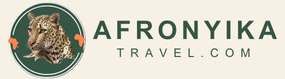 afronyikatravel.com