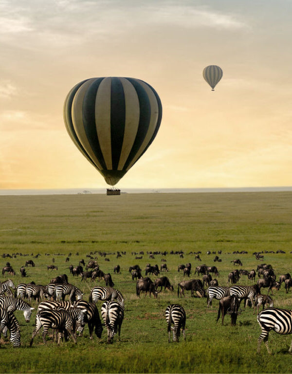 Hot Air Balloon Safari