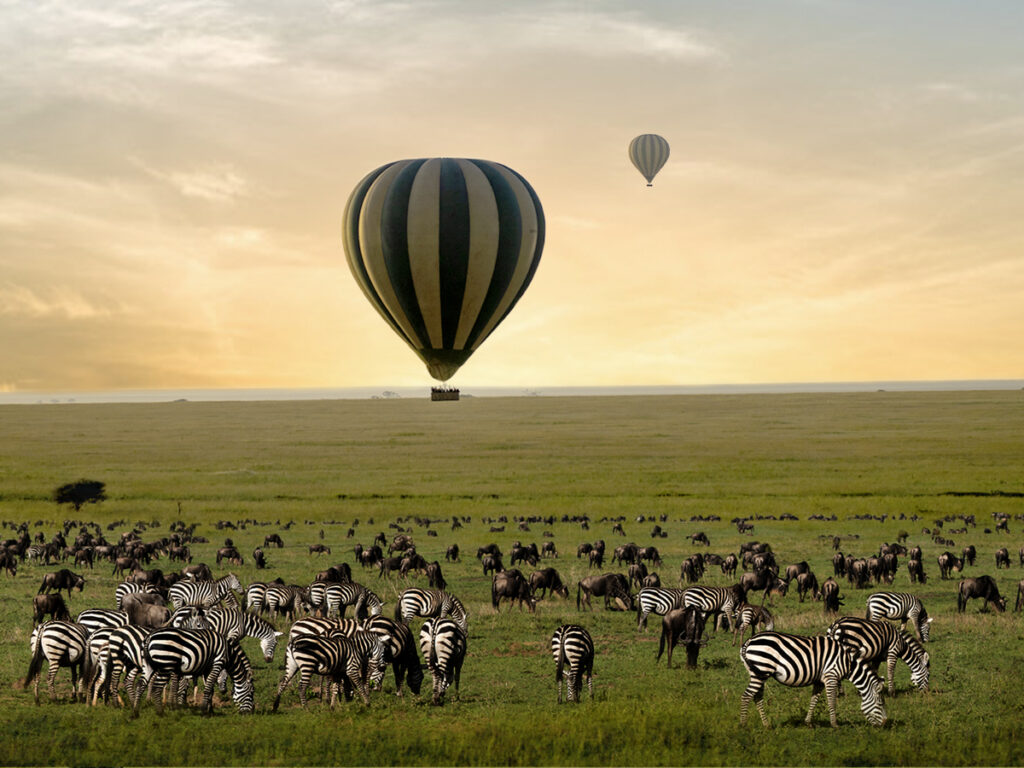 Hot Air Balloon Safari