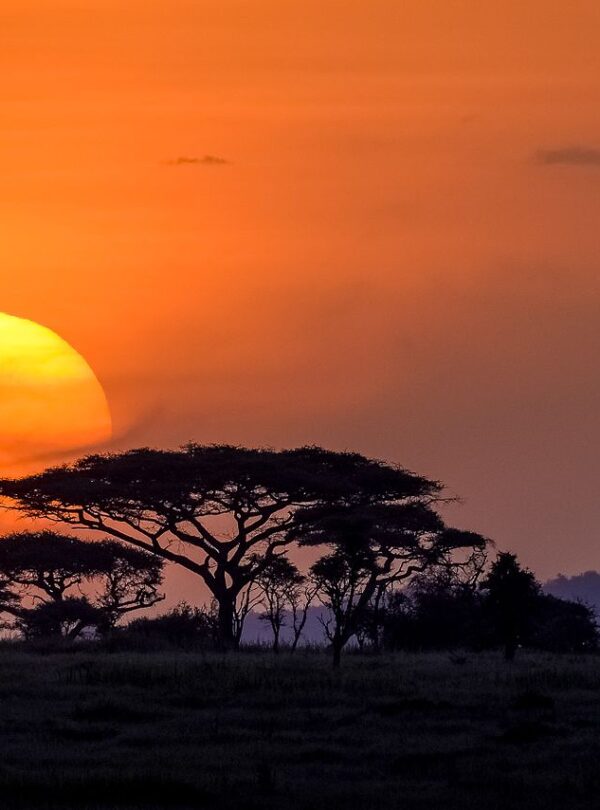 Sun Rise and Sun Set
