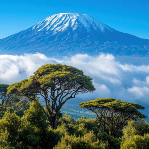 Mount Kilimanjaro Trekking