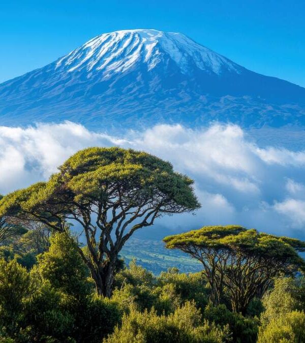 Mount Kilimanjaro Trekking